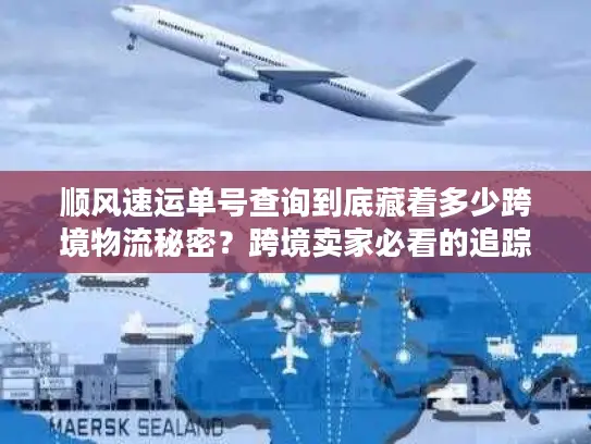 顺风速运单号查询到底藏着多少跨境物流秘密？跨境卖家必看的追踪门道