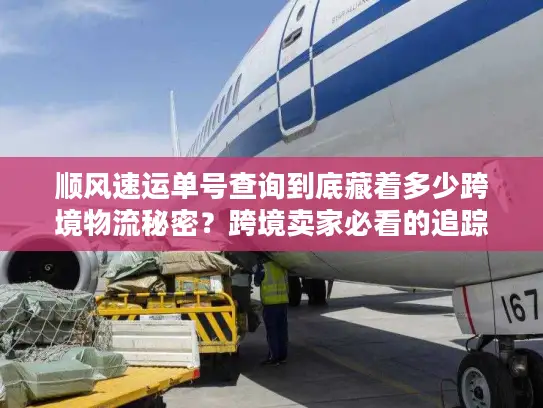 顺风速运单号查询到底藏着多少跨境物流秘密？跨境卖家必看的追踪门道