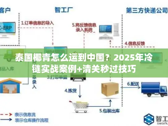 泰国椰青怎么运到中国？2025年冷链实战案例+清关秒过技巧