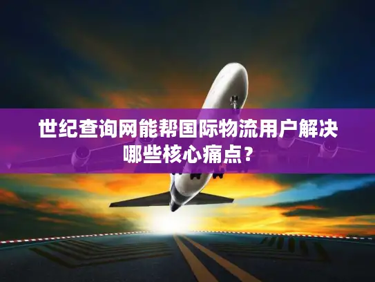 世纪查询网能帮国际物流用户解决哪些核心痛点？