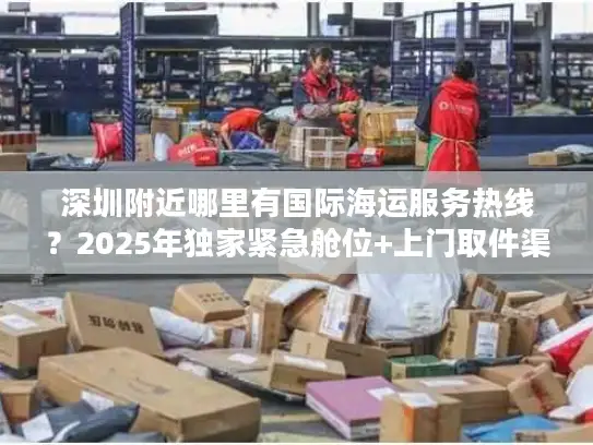 深圳附近哪里有国际海运服务热线？2025年独家紧急舱位+上门取件渠道揭秘