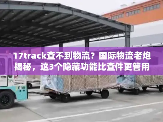 17track查不到物流？国际物流老炮揭秘，这3个隐藏功能比查件更管用！