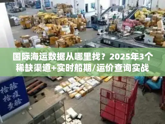 国际海运数据从哪里找？2025年3个稀缺渠道+实时船期/运价查询实战