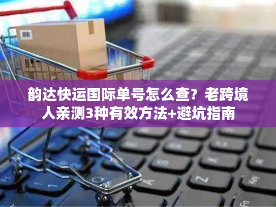 韵达快运国际单号怎么查？老跨境人亲测3种有效方法+避坑指南