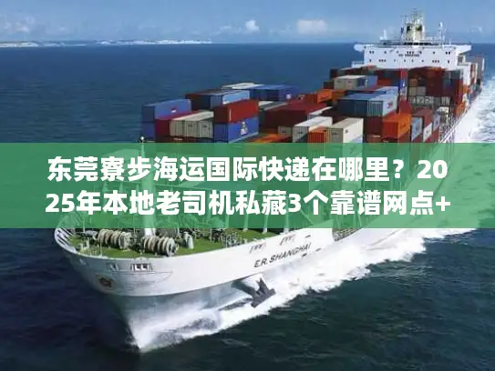 东莞寮步海运国际快递在哪里？2025年本地老司机私藏3个靠谱网点+1个隐藏渠道