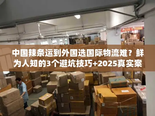 中国辣条运到外国选国际物流难？鲜为人知的3个避坑技巧+2025真实案例拆解