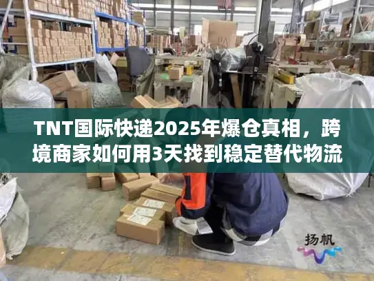 TNT国际快递2025年爆仓真相，跨境商家如何用3天找到稳定替代物流？