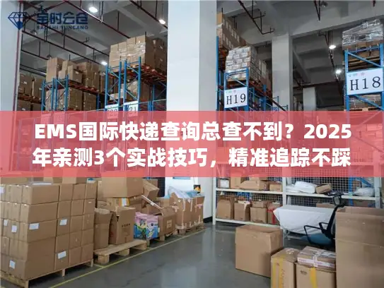 EMS国际快递查询总查不到？2025年亲测3个实战技巧，精准追踪不踩坑