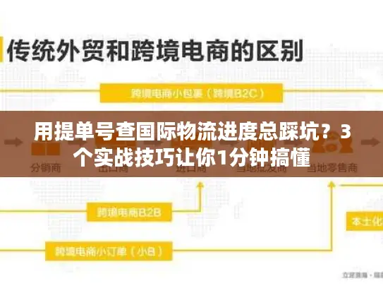 用提单号查国际物流进度总踩坑？3个实战技巧让你1分钟搞懂