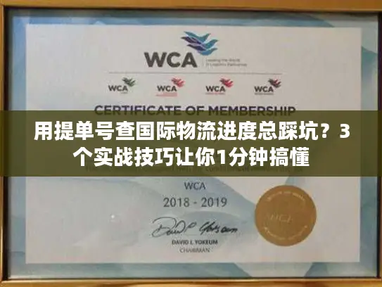 用提单号查国际物流进度总踩坑？3个实战技巧让你1分钟搞懂