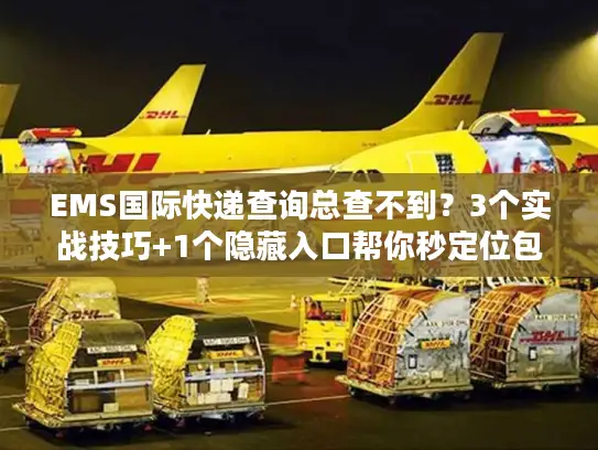 EMS国际快递查询总查不到？3个实战技巧+1个隐藏入口帮你秒定位包裹