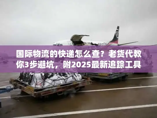 国际物流的快递怎么查？老货代教你3步避坑，附2025最新追踪工具清单