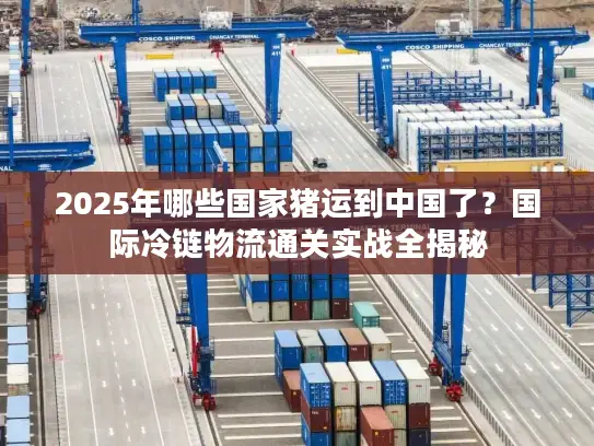 2025年哪些国家猪运到中国了？国际冷链物流通关实战全揭秘