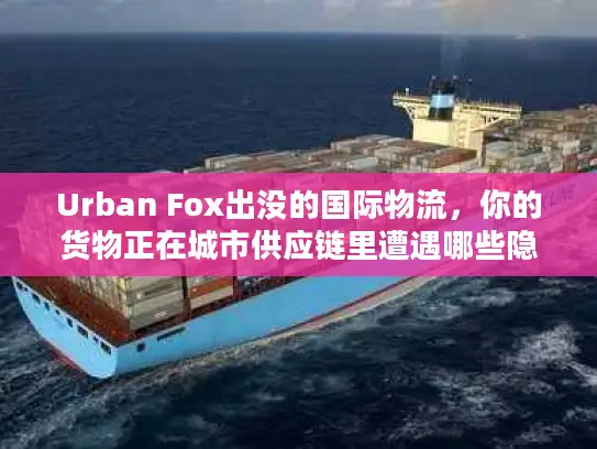 Urban Fox出没的国际物流，你的货物正在城市供应链里遭遇哪些隐形拦截？