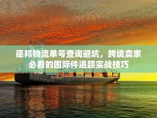 德邦物流单号查询避坑，跨境卖家必看的国际件追踪实战技巧