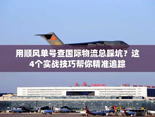 用顺风单号查国际物流总踩坑？这4个实战技巧帮你精准追踪