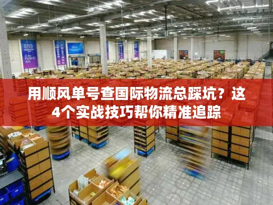 用顺风单号查国际物流总踩坑？这4个实战技巧帮你精准追踪