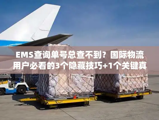 EMS查询单号总查不到？国际物流用户必看的3个隐藏技巧+1个关键真相