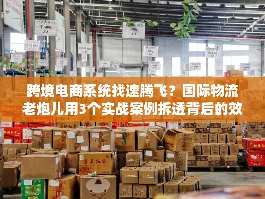 跨境电商系统找速腾飞？国际物流老炮儿用3个实战案例拆透背后的效率密码