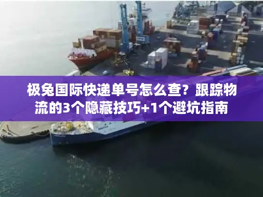 极兔国际快递单号怎么查？跟踪物流的3个隐藏技巧+1个避坑指南