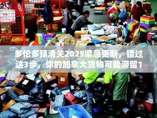 多伦多预清关2025紧急更新，错过这3步，你的加拿大货物可能滞留10天！