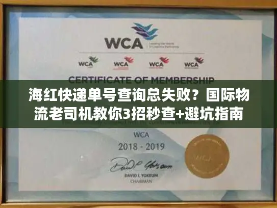 海红快递单号查询总失败？国际物流老司机教你3招秒查+避坑指南