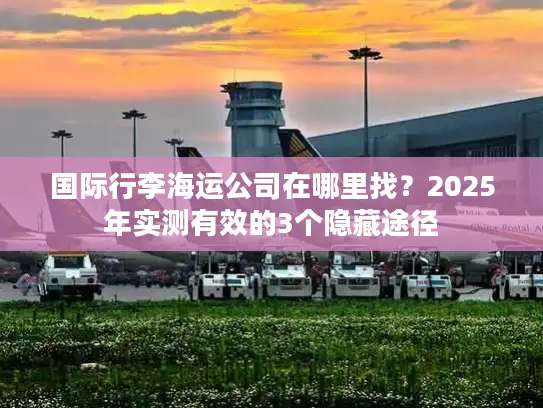 国际行李海运公司在哪里找？2025年实测有效的3个隐藏途径