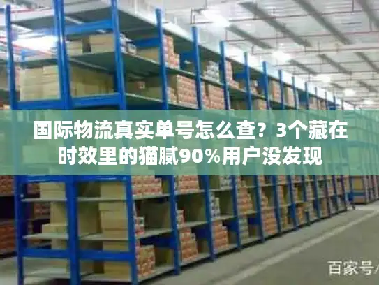 国际物流真实单号怎么查？3个藏在时效里的猫腻90%用户没发现