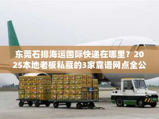 东莞石排海运国际快递在哪里？2025本地老板私藏的3家靠谱网点全公开