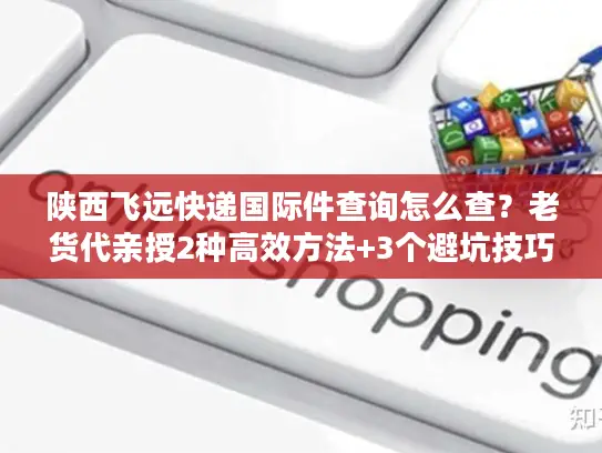 陕西飞远快递国际件查询怎么查？老货代亲授2种高效方法+3个避坑技巧