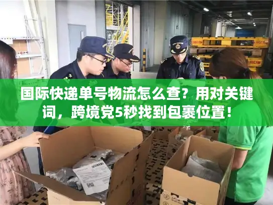 国际快递单号物流怎么查？用对关键词，跨境党5秒找到包裹位置！