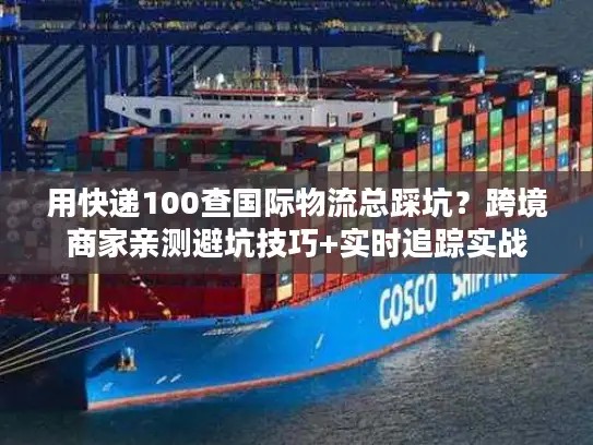 用快递100查国际物流总踩坑？跨境商家亲测避坑技巧+实时追踪实战