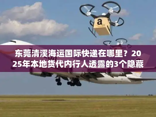 东莞清溪海运国际快递在哪里？2025年本地货代内行人透露的3个隐藏网点+省钱技巧