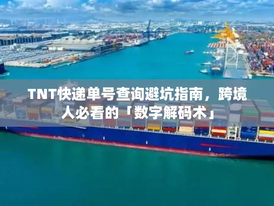 TNT快递单号查询避坑指南，跨境人必看的「数字解码术」