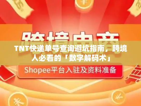 TNT快递单号查询避坑指南，跨境人必看的「数字解码术」