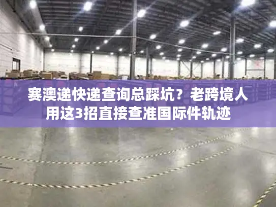 赛澳递快递查询总踩坑？老跨境人用这3招直接查准国际件轨迹