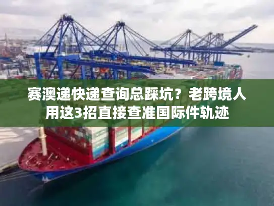 赛澳递快递查询总踩坑？老跨境人用这3招直接查准国际件轨迹