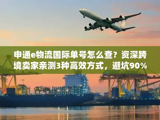 申通e物流国际单号怎么查？资深跨境卖家亲测3种高效方式，避坑90%查询痛点
