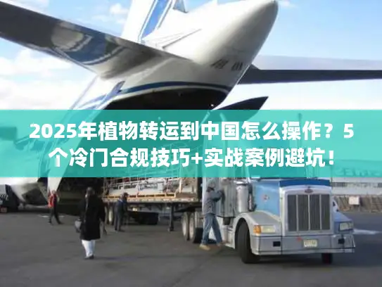 2025年植物转运到中国怎么操作？5个冷门合规技巧+实战案例避坑！