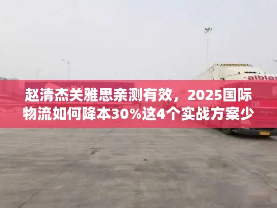 赵清杰关雅思亲测有效，2025国际物流如何降本30%这4个实战方案少有人用