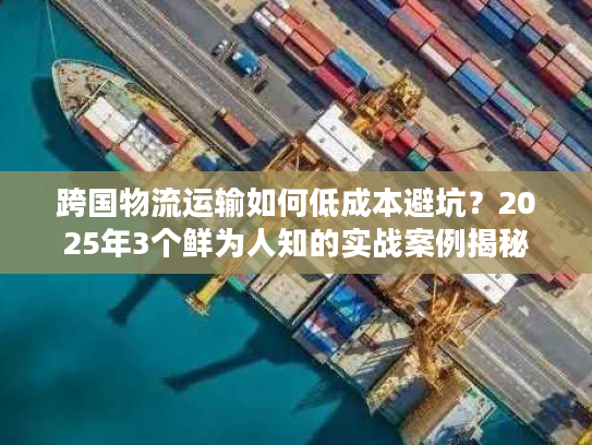 跨国物流运输如何低成本避坑？2025年3个鲜为人知的实战案例揭秘