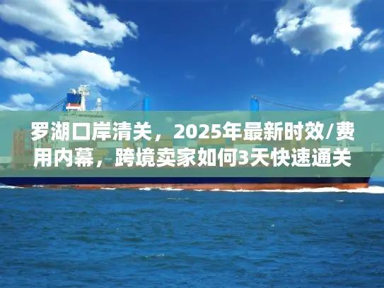 罗湖口岸清关，2025年最新时效/费用内幕，跨境卖家如何3天快速通关？