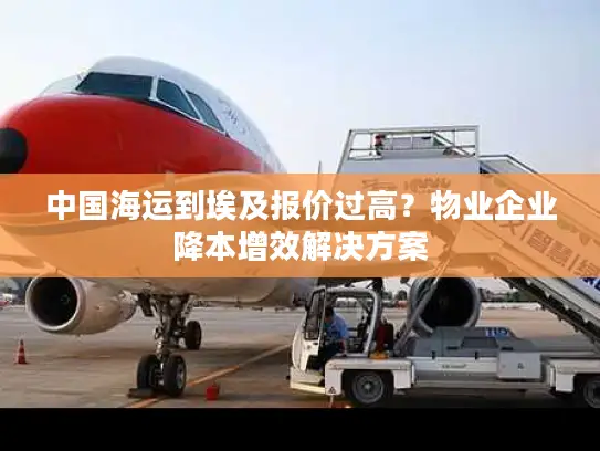 中国海运到埃及报价过高？物业企业降本增效解决方案