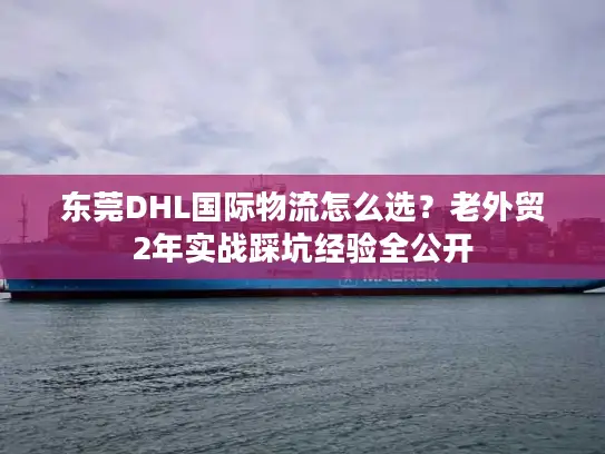 东莞DHL国际物流怎么选？老外贸2年实战踩坑经验全公开
