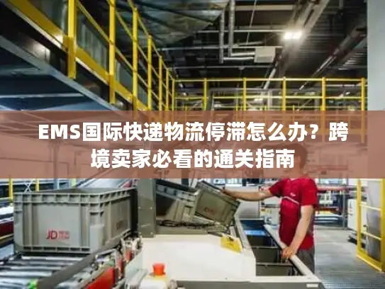 EMS国际快递物流停滞怎么办？跨境卖家必看的通关指南