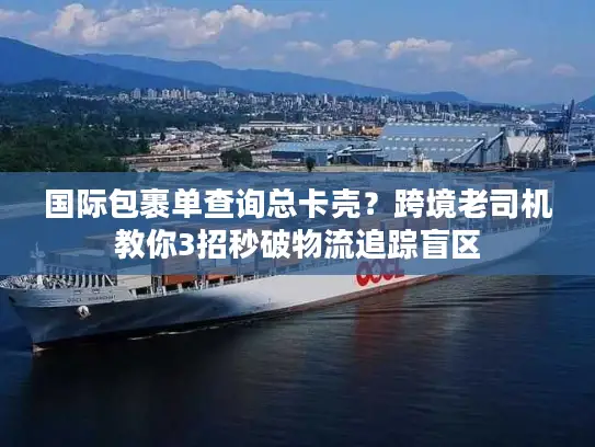 国际包裹单查询总卡壳？跨境老司机教你3招秒破物流追踪盲区