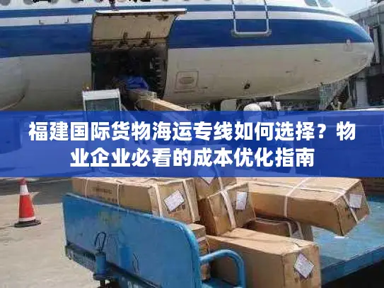 福建国际货物海运专线如何选择？物业企业必看的成本优化指南