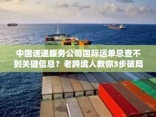中国速递服务公司国际运单总查不到关键信息？老跨境人教你3步破局