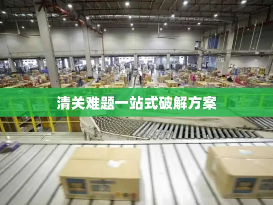 清关难题一站式破解方案