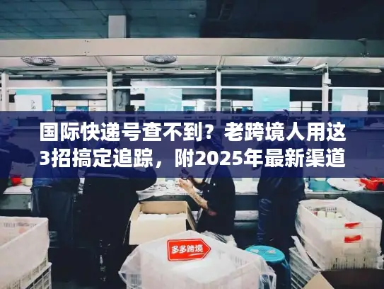 国际快递号查不到？老跨境人用这3招搞定追踪，附2025年最新渠道攻略